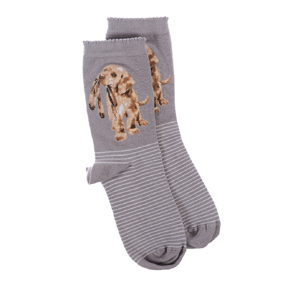 Grey socks with a dog design on a white background