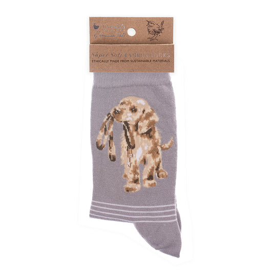 Grey sock with a dog illustration on a white background