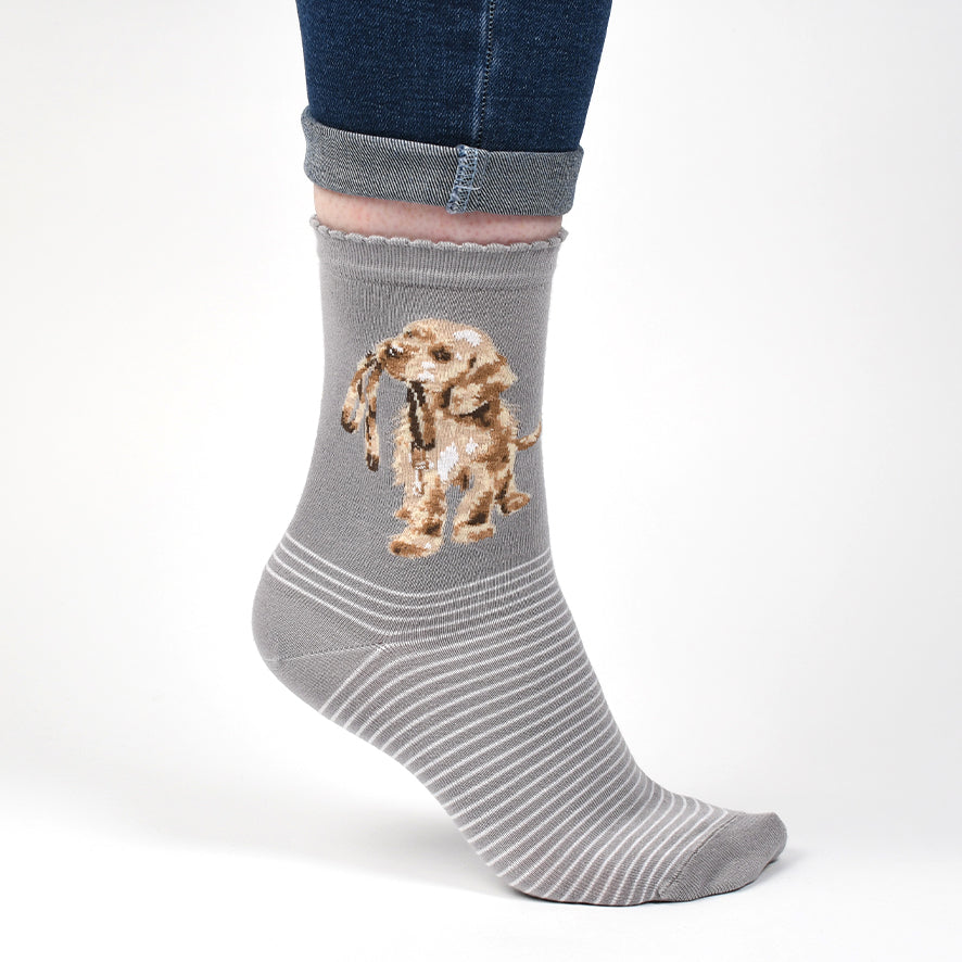 Grey sock with a dog design worn by a person on a white background