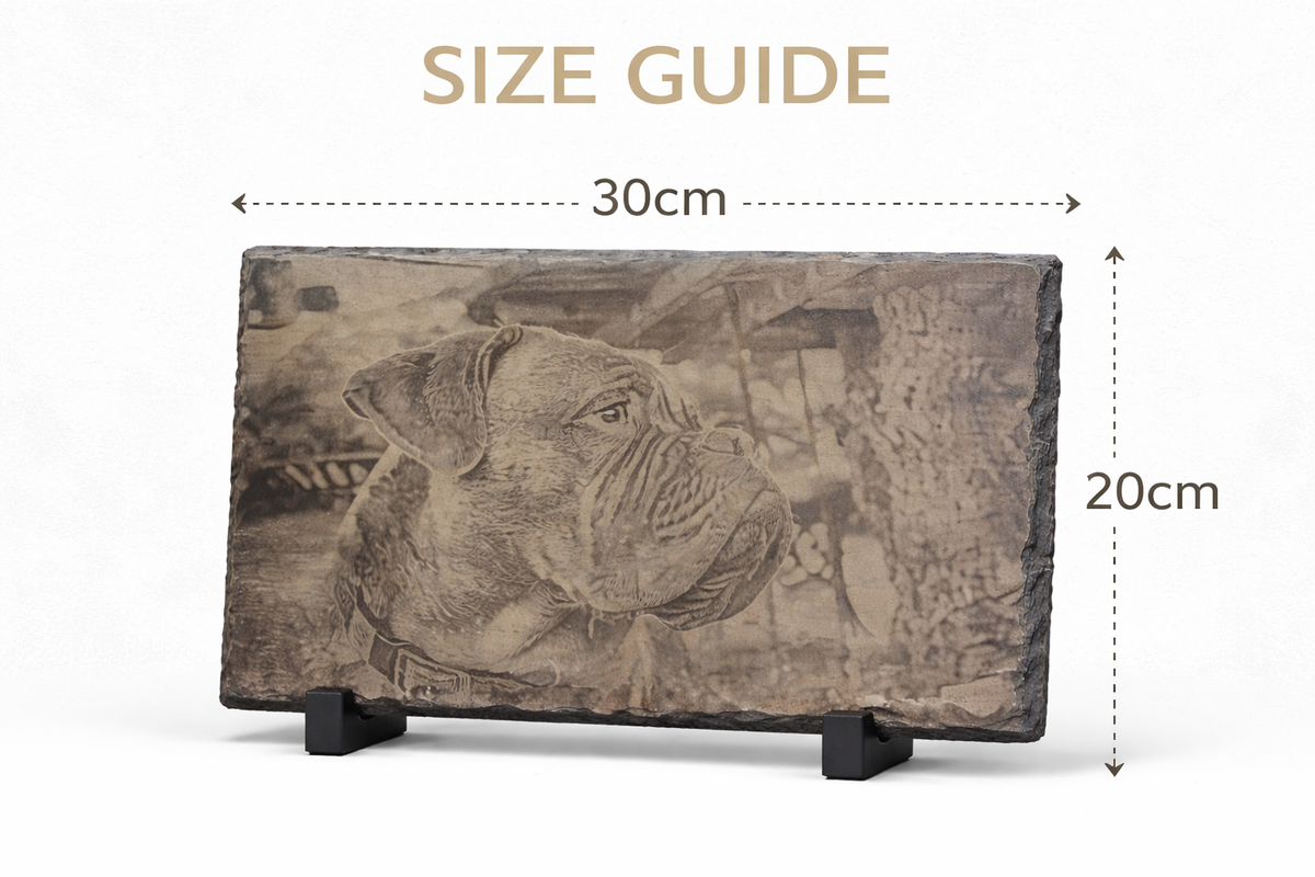 A rectangular stone plaque with an engraved bulldog portrait on a small black display stand, shown on a white background with overlaid dimension arrows and text reading 30cm wide and 20cm high.