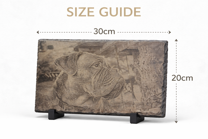 A rectangular stone plaque with an engraved bulldog portrait on a small black display stand, shown on a white background with overlaid dimension arrows and text reading 30cm wide and 20cm high.