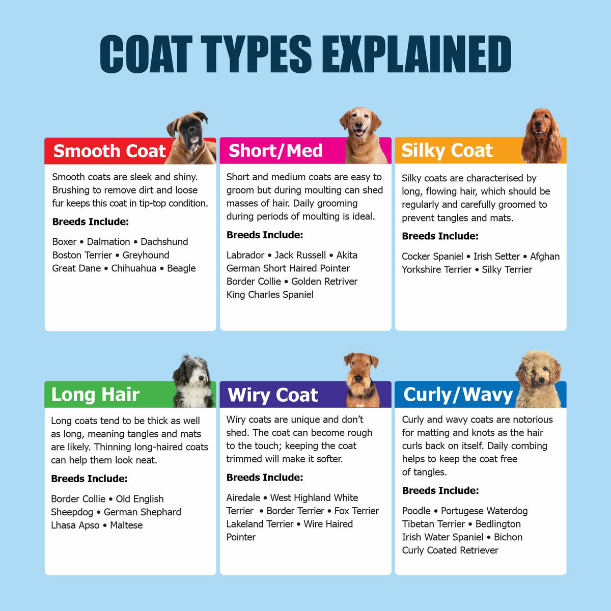 An educational infographic titled 'COAT TYPES EXPLAINED' on a light blue background, showing six different goat coat types (Smooth Coat, Short/Med Coat, Silky Coat, Long Hair, Wyiry Coat, and Curly/Wavy) with photos of goats, text descriptions, and breed examples.