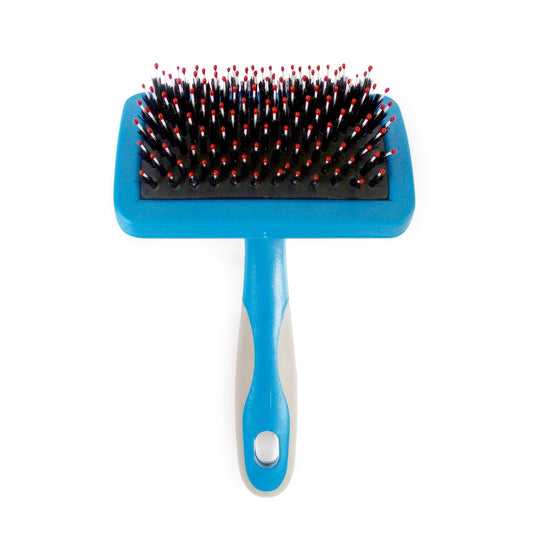 Blue pet grooming brush with black bristles on a white background