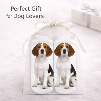 A pair of white trainer socks printed with a seated beagle dog, presented inside a clear tulle gift bag tied with a white ribbon. The image includes the text 'Perfect Gift for Dog Lovers' and features a soft, blurred background with a matching gift box.