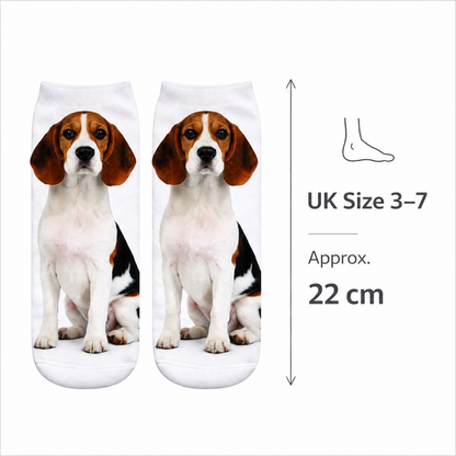 A pair of white trainer socks printed with a beagle dog, shown on a white background with a size callout indicating UK Size 3-7 and 22 cm length.