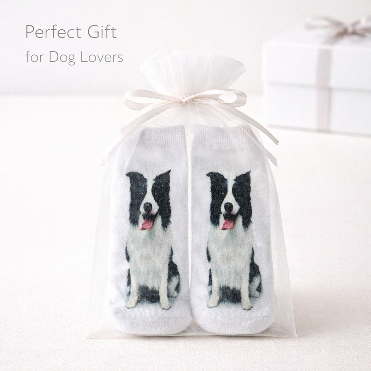 A pair of white crew socks printed with black-and-white Border Collie dog illustrations, tied in a sheer white gift bag with a white ribbon. The text 'Perfect Gift for Dog Lovers' appears in the upper left, with a blurred white gift box in the background.