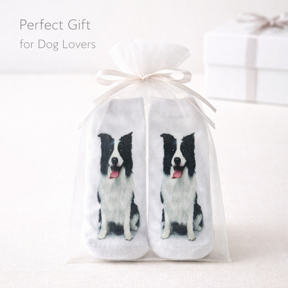 A pair of white crew socks printed with black-and-white Border Collie dog illustrations, tied in a sheer white gift bag with a white ribbon. The text 'Perfect Gift for Dog Lovers' appears in the upper left, with a blurred white gift box in the background.