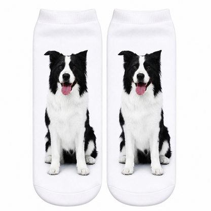 White socks with a black and white dog Border Collie dog print on a white background