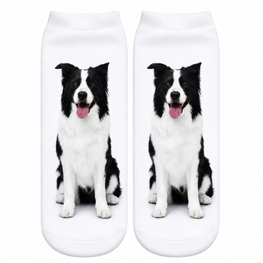 White socks with a black and white dog Border Collie dog print on a white background