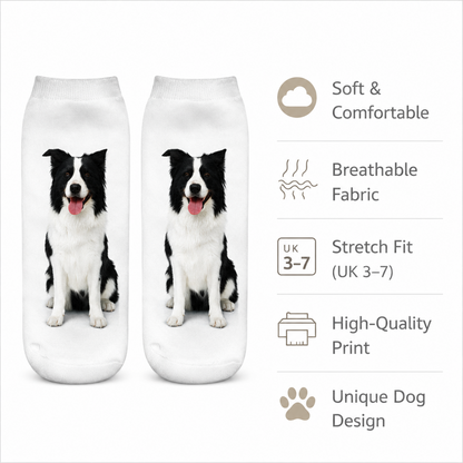 A pair of white low-cut socks featuring a printed black and white Border Collie dog design, shown next to a feature list with icons and text highlighting comfort, breathability, stretch fit, high-quality print, and unique dog design.