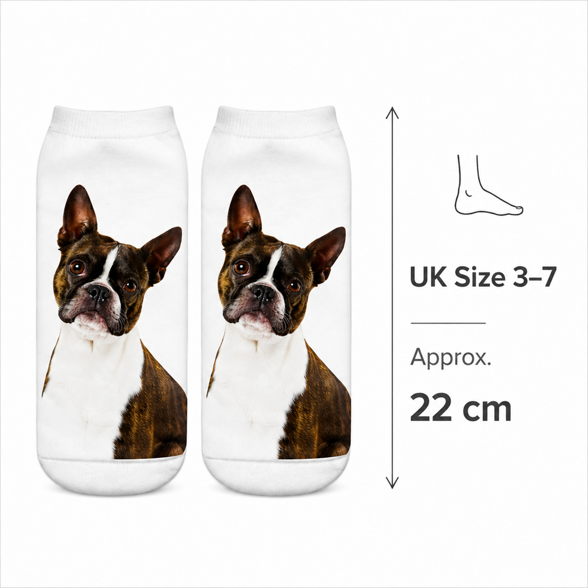 Two white ankle socks with a printed Boston Terrier dog design, shown side by side with a size guide indicating UK Size 3-7 and 22 cm length.