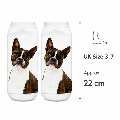 Two white ankle socks with a printed Boston Terrier dog design, shown side by side with a size guide indicating UK Size 3-7 and 22 cm length.