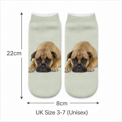 A pair of trainer socks shown flat on a white background with measurement arrows and text indicating 22 cm height, 8 cm width, and UK size 3-7 unisex. The socks are a pale sage green with a printed image of a brown and black Boxer dog on each sock.