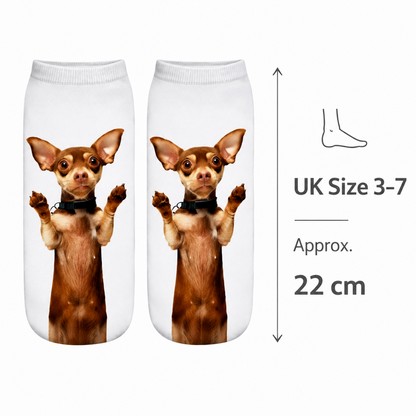 A pair of white ankle socks with a printed image of a brown Chihuahua dog standing on its hind legs, shown on a white background with a size measurement graphic indicating UK Size 3-7 and 22 cm.