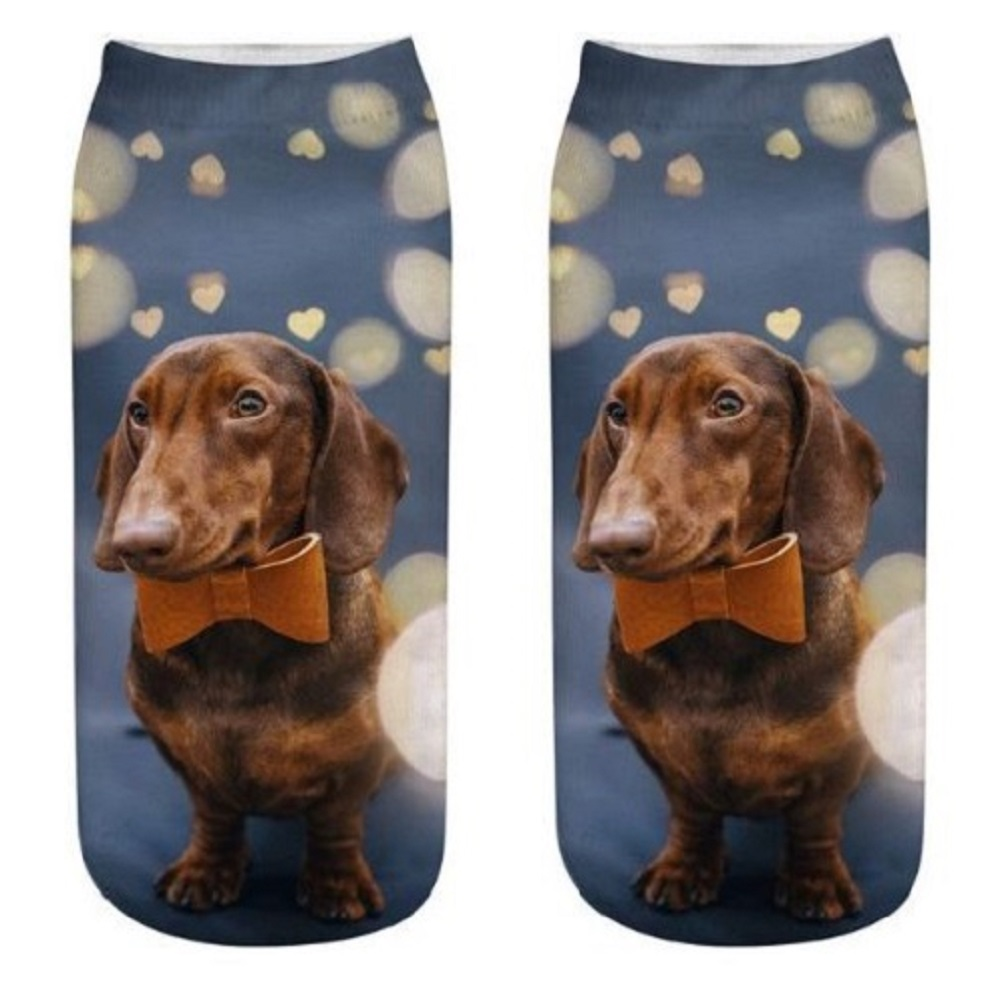 Socks with a dachshund wearing a bow tie on a blue background with heart shapes.