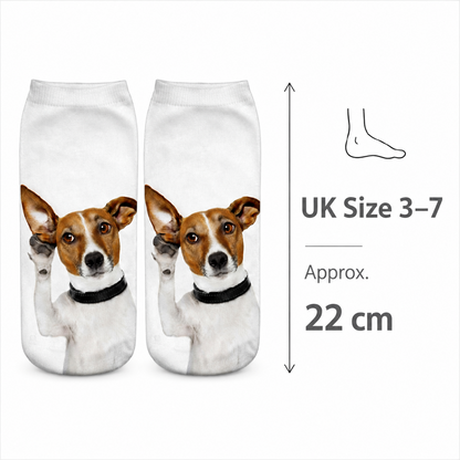 A pair of white trainer socks printed with a Jack Russell terrier dog portrait, shown on a white background with a size callout indicating UK size 3-7 and 22 cm length.