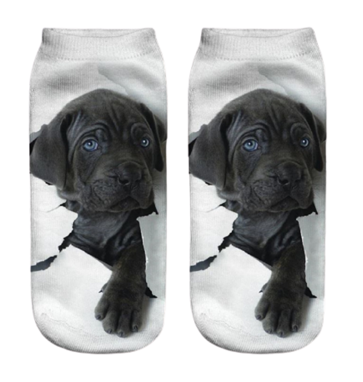 Socks with a design of a black Labrador puppy on a white background