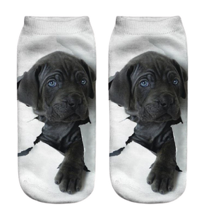 Socks with a design of a black Labrador puppy on a white background