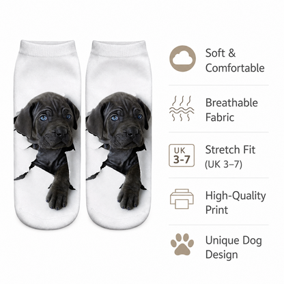 A pair of white ankle socks with a printed graphic of a black Labrador puppy peeking through a torn white fabric, shown next to a feature list with icons and text on a white background.