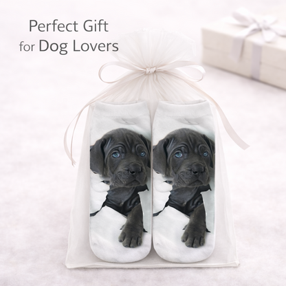 A pair of white socks printed with a cute black Labrador puppy, presented in a clear gift bag tied with a white ribbon. The text 'Perfect Gift for Dog Lovers' is displayed in the upper left corner.