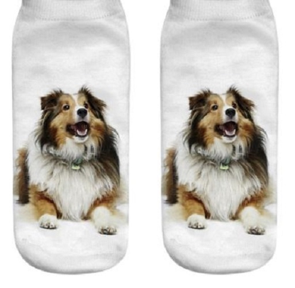 Pair of socks with a Shetland Sheepdog dog design on a white background