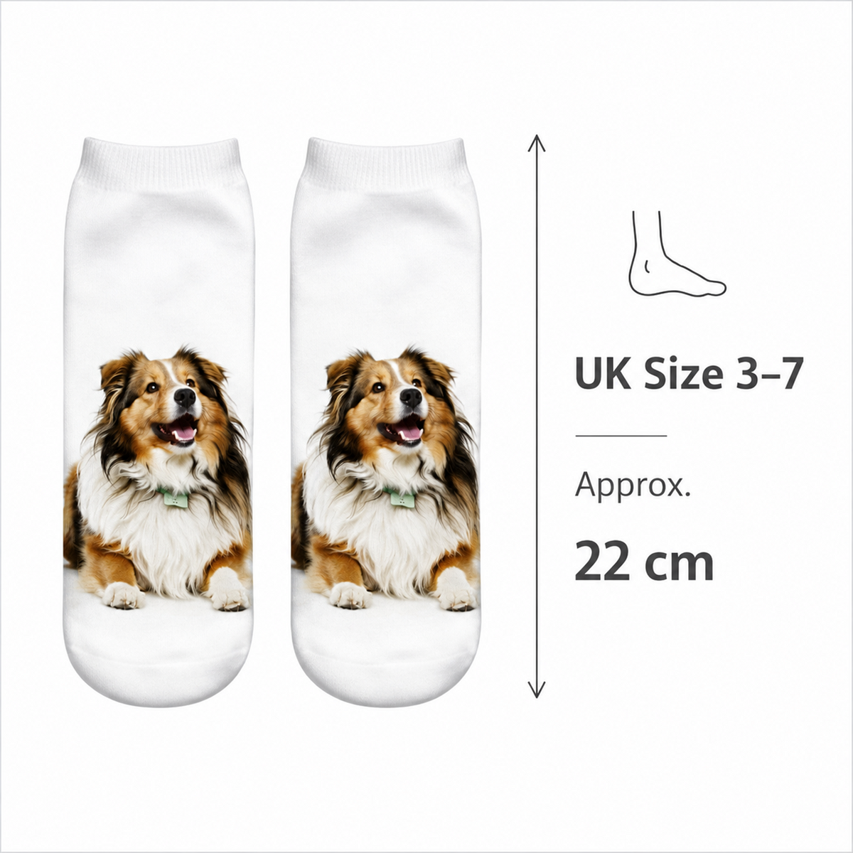 A pair of white trainer socks with a printed image of a fluffy brown and white Shetland Sheepdog, shown on a white background with a size callout indicating UK Size 3-7 and 22 cm length.