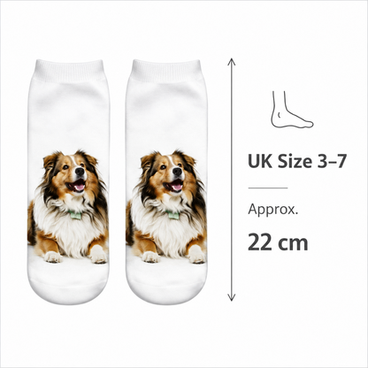 A pair of white trainer socks with a printed image of a fluffy brown and white Shetland Sheepdog, shown on a white background with a size callout indicating UK Size 3-7 and 22 cm length.