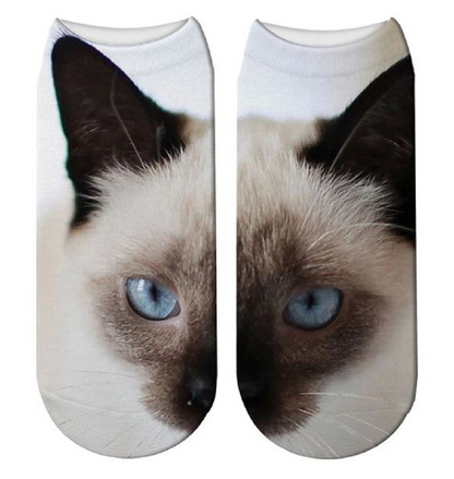 Cat Print Trainer Socks