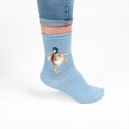 Light blue sock with a bird design worn by a person, on a white background