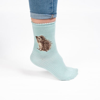 A light blue ribbed ankle sock with a printed hedgehog design, shown on a person's foot with cuffed blue jeans against a white background.