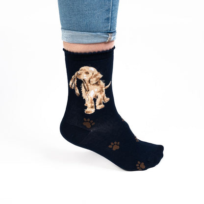 Navy sock with a dog illustration worn by a person on a white background