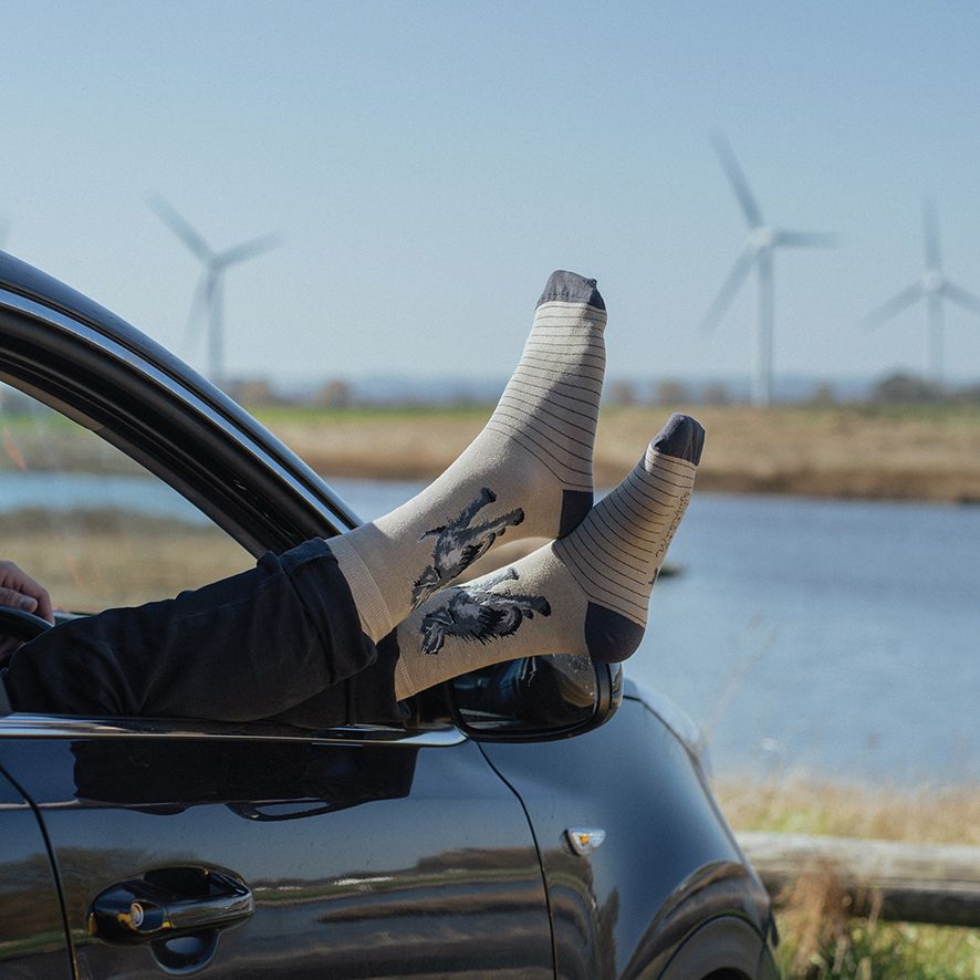 Person with feet out of car window near wind turbines