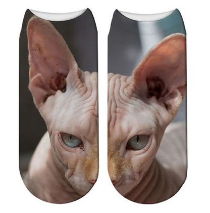 Cat Print Trainer Socks