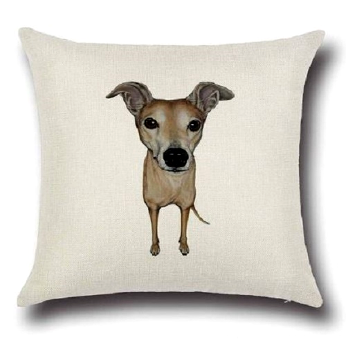 Pillow with a greyhound whippet dog illustration on a beige background