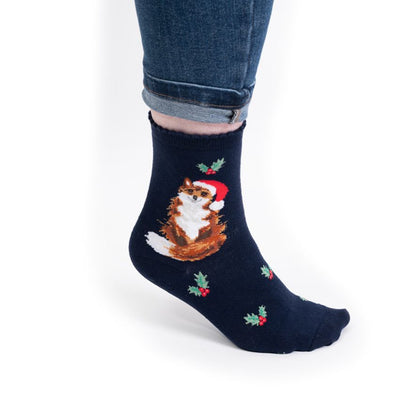 A navy blue ankle sock with a printed illustration of a fluffy brown and white cat wearing a red Santa hat, decorated with small green holly leaves and red berries. The sock is shown on a person's foot wearing cuffed blue jeans against a plain white background.