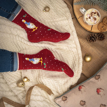 A cozy flat-lay showing a pair of red knit socks with a robin print, worn with blue jeans on a cream cable-knit blanket. The scene is decorated with holiday ornaments, a cup of hot chocolate, pinecones, and a matching patterned pillow.