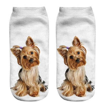 Two socks with a Yorkshire Terrier dog print on a white background